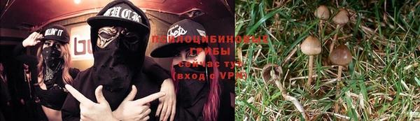 MDMA Premium VHQ Волоколамск